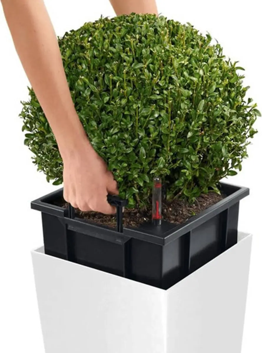 Lechuza Cubico Color 22 Plantenbak - Wit - afbeelding 4 van 6