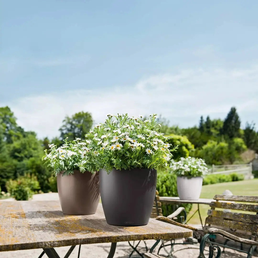 Lechuza CLASSICO Color 28 Plantenbak - Zandbruin - afbeelding 5 van 6