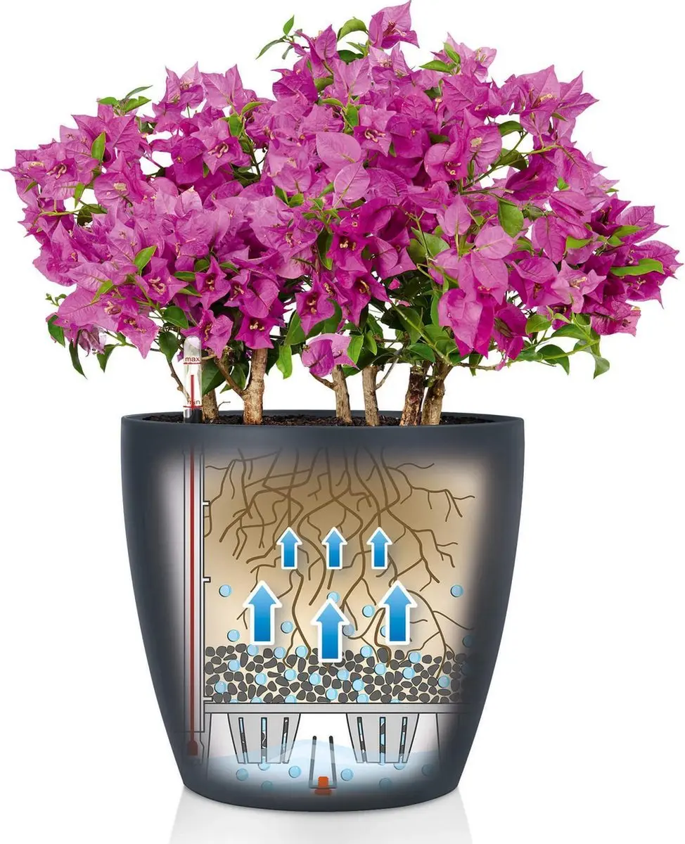 Lechuza CLASSICO Color 28 Plantenbak - Zandbruin - afbeelding 4 van 6