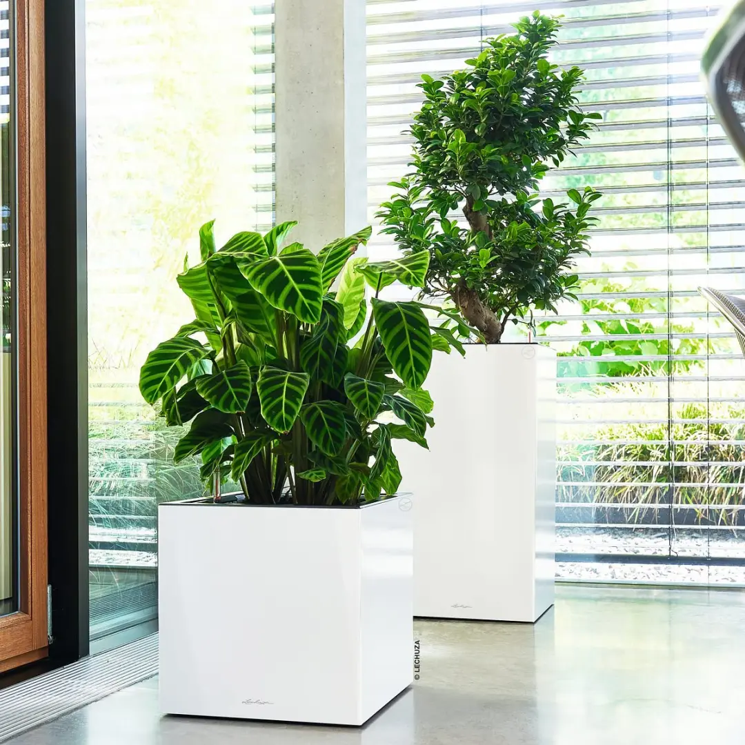 Lechuza CANTO Premium 40 Hoog Plantenbak - 29l - Wit Hoogglans - afbeelding 2 van 6