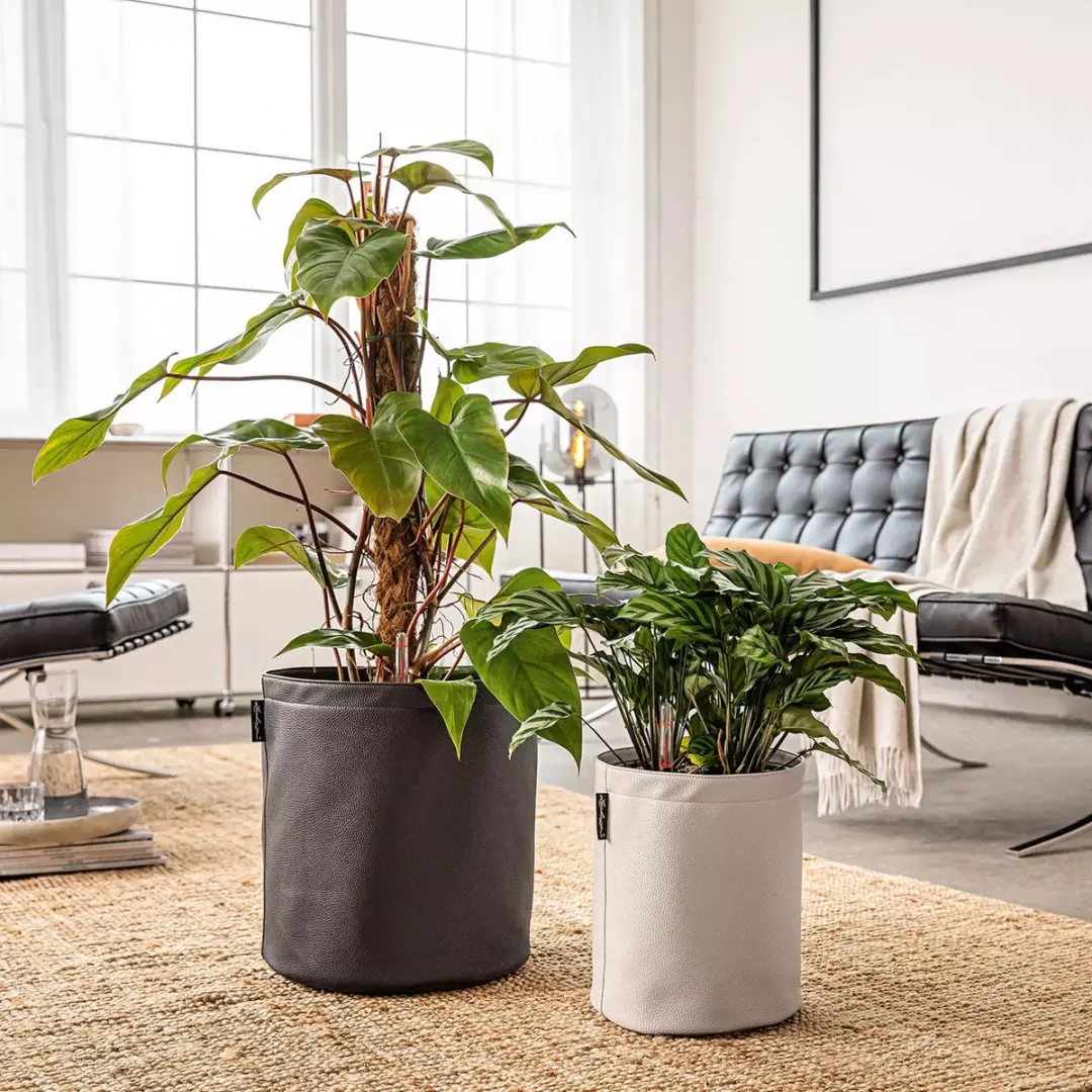 Lechuza Trendcover 23 Plantenbak - 5.5L - Crème - afbeelding 6 van 6