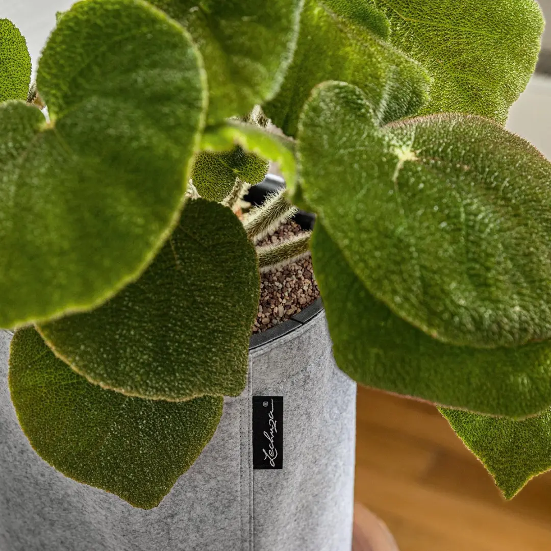 Lechuza Trendcover 32 Vilt Plantenbak - 13L - Dark Grey - afbeelding 4 van 6