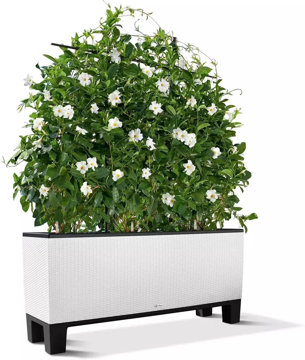 Lechuza TRIO 30 Sokkel voor plantenbak - Zwart - afbeelding 2 van 3