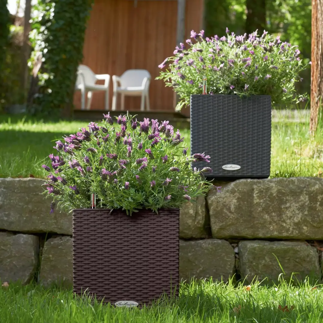 Lechuza CUBE Cottage 30 Plantenbak - Mokka - afbeelding 6 van 6