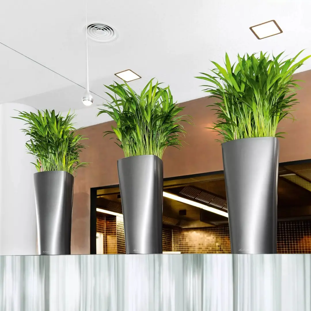 Lechuza Delta Premium 30 Plantenbak - Antraciet Metallic - afbeelding 6 van 6