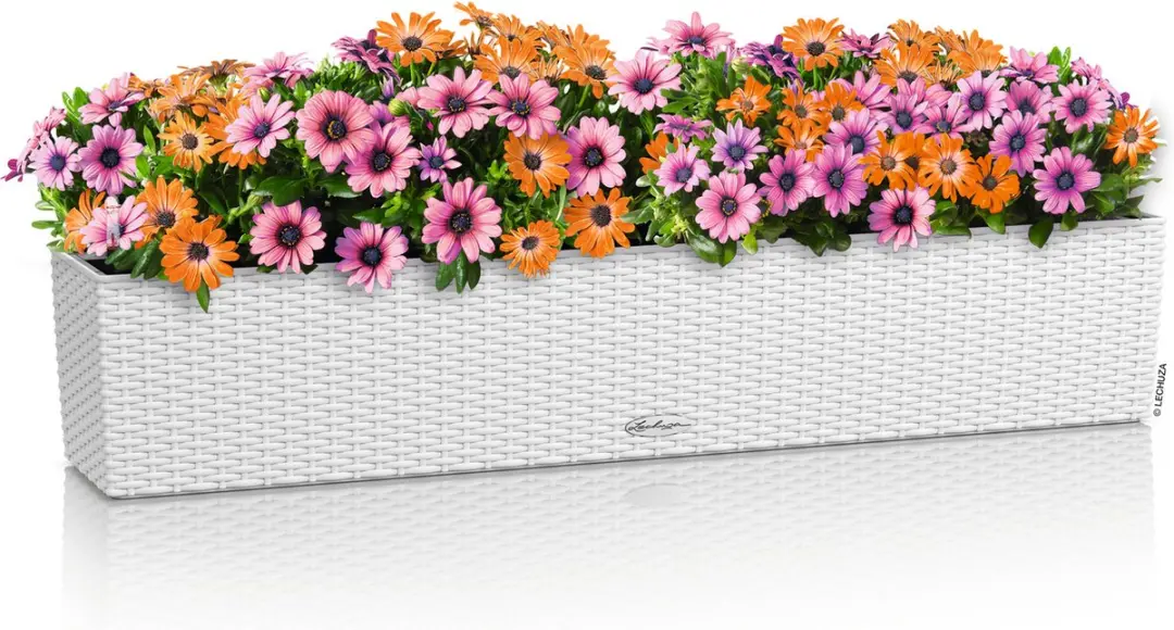 Lechuza Balconera Cottage 100 Plantenbak - Wit - afbeelding 5 van 6