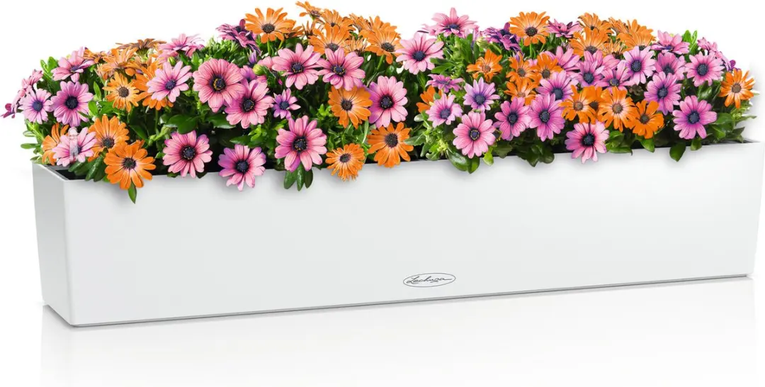Lechuza BALCONERA Color 100 Plantenbak - 16L - Wit - afbeelding 4 van 4