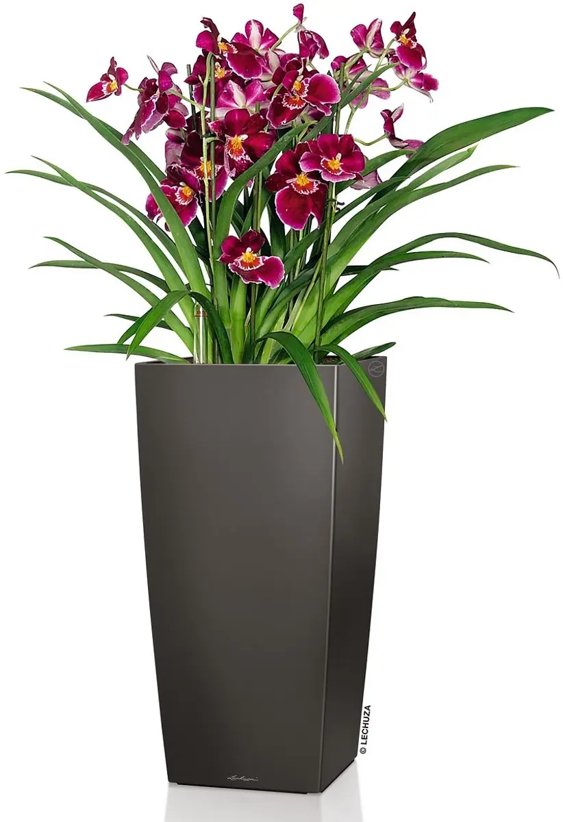 Lechuza Cubico Premium 30 Plantenbak - Antraciet Metallic - afbeelding 2 van 6