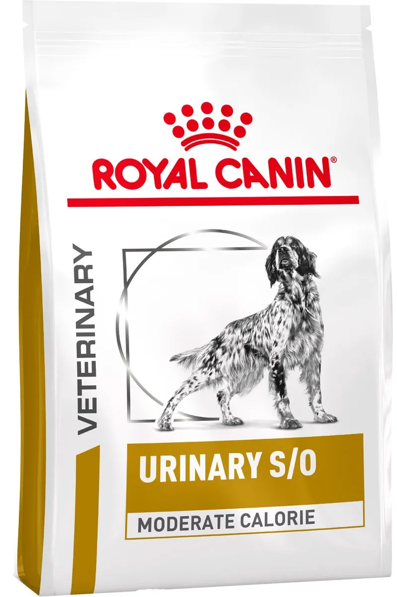 Royal Canin Urinary S/O Moderate Calorie Hond - 6,5 kg + 12x100g