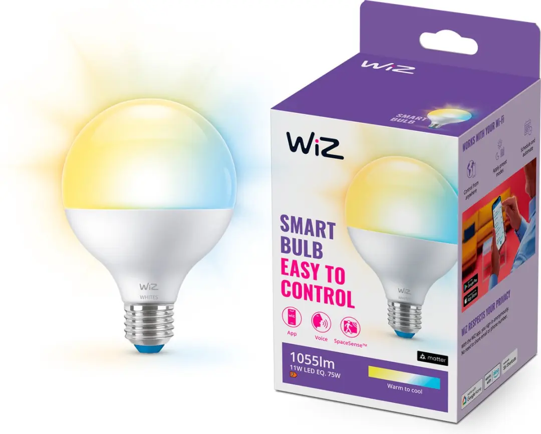 WiZ Globe LED-lamp E27