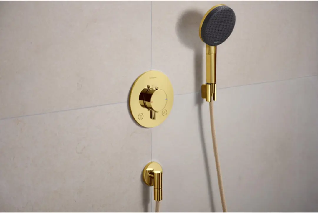Hansgrohe Ecostat Comfort S Inbouwthermostaat 2 functies - Goud - afbeelding 5 van 6