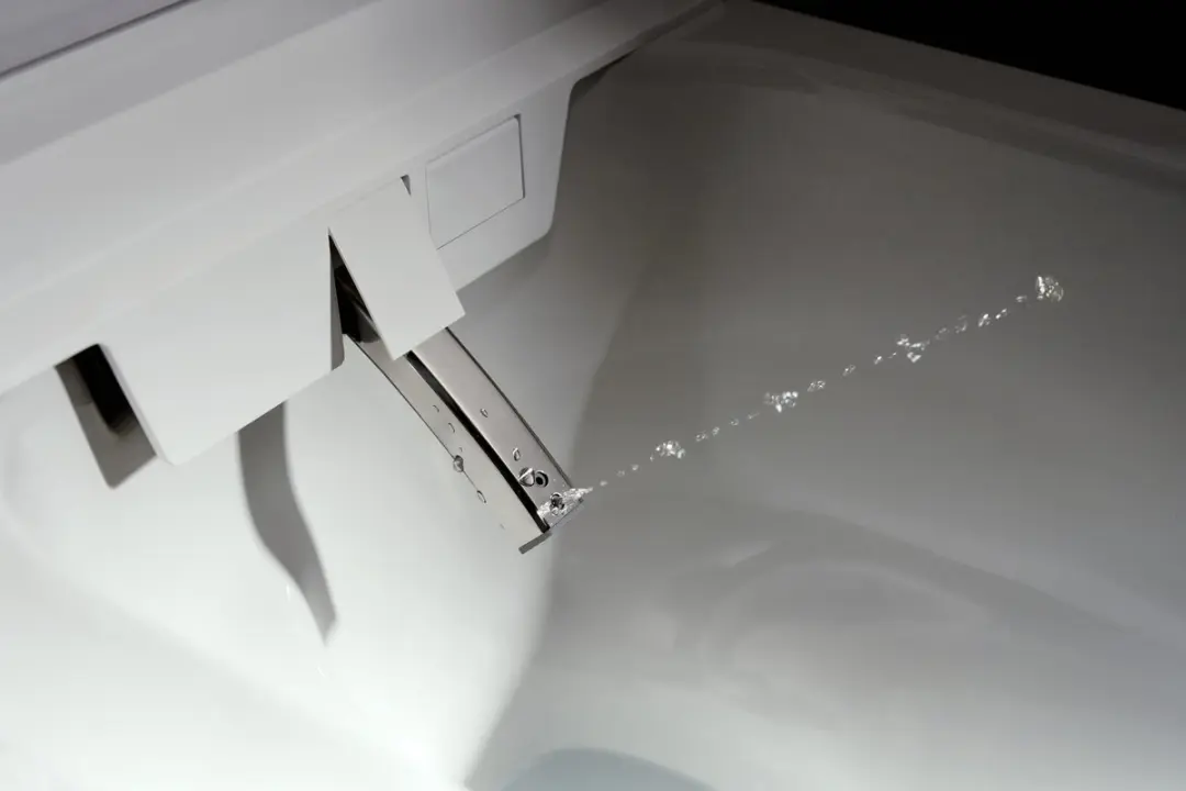 Hansgrohe LavaPura Element S 63021450 Elektronisch Bidet - Wit - afbeelding 2 van 6