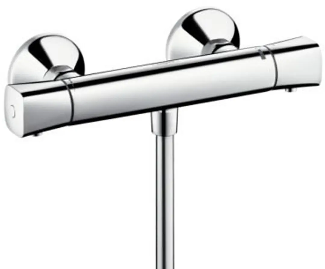Hansgrohe Ecostat S Universele douche