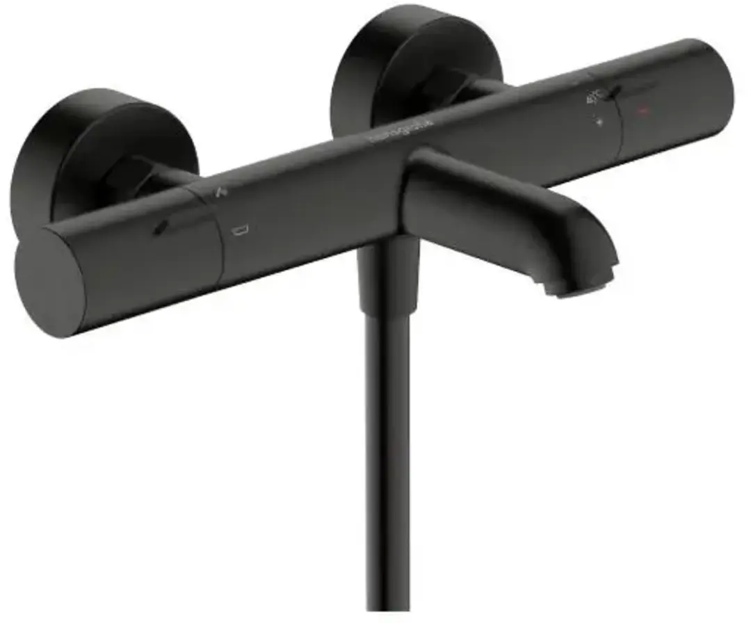 Hansgrohe Thermostaat Ecostat Fine bad