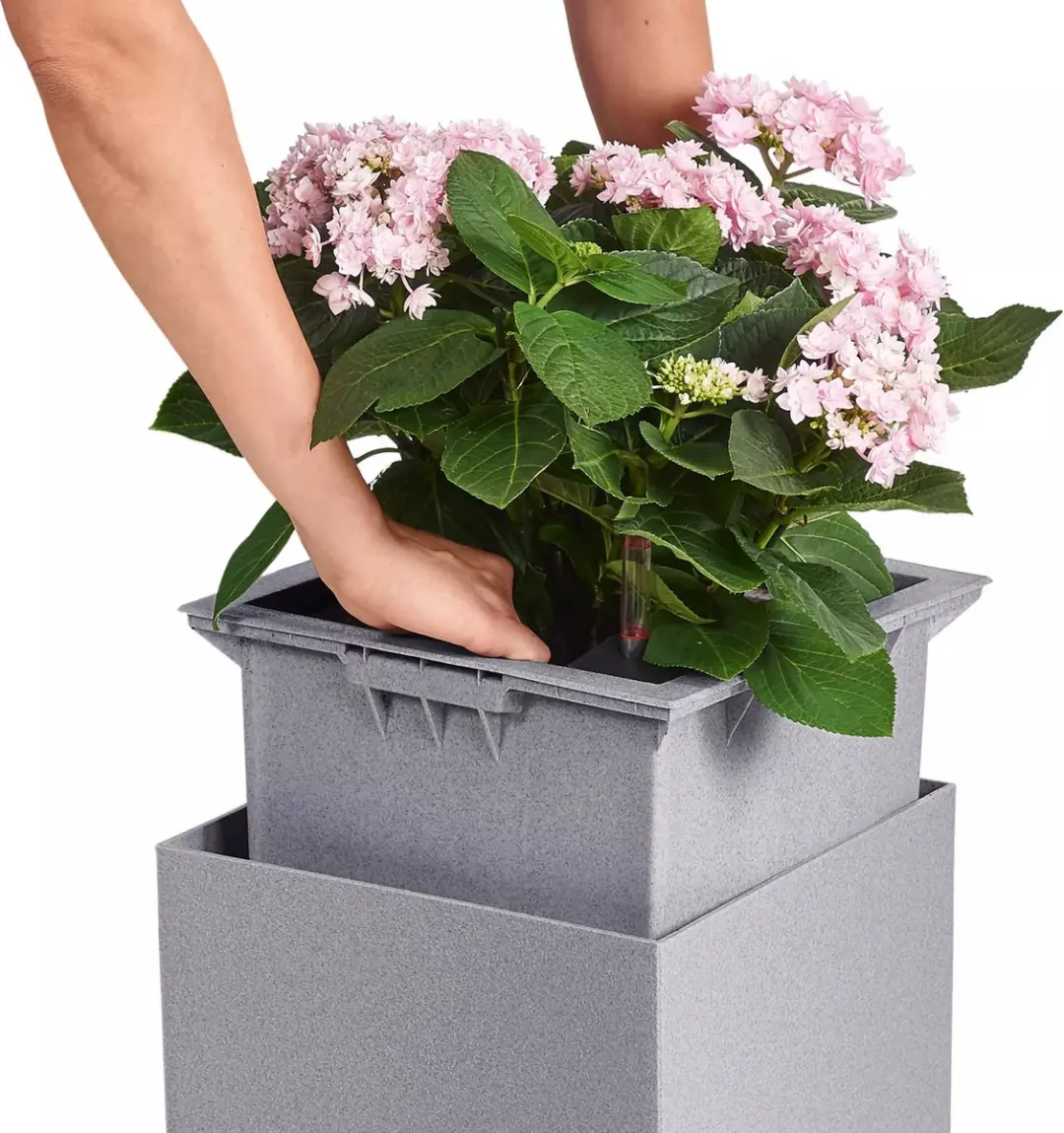 LECHUZA CANTO Stone 40 low - Plantenbak - met uitneembare binnenbak - met bewateringssysteem - ALL-IN-ONE set met LECHUZA-PON - zandbeige - afbeelding 5 van 6