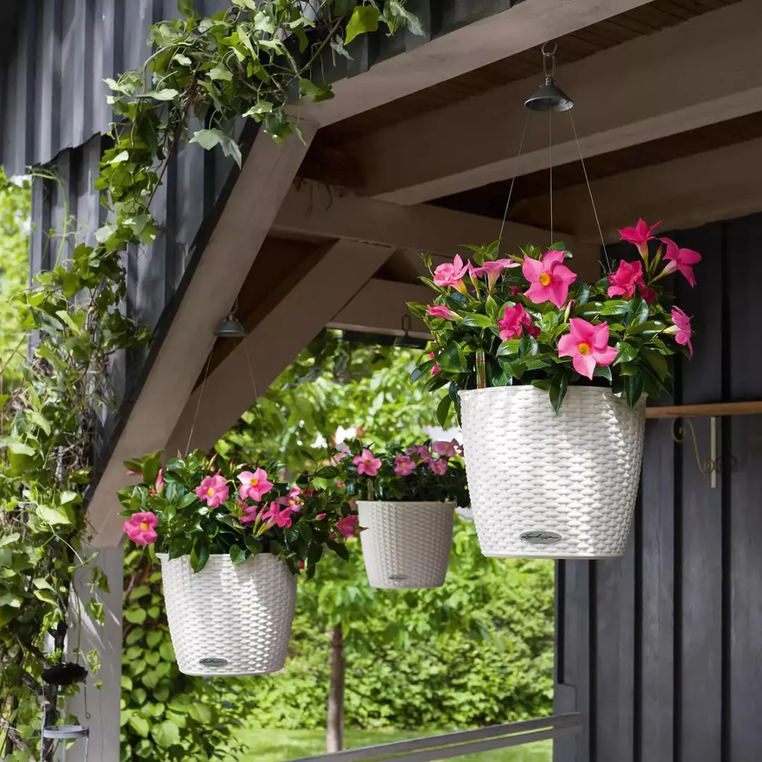 Lechuza NIDO Cottage 35 Plantenbak - Mokka - afbeelding 6 van 6