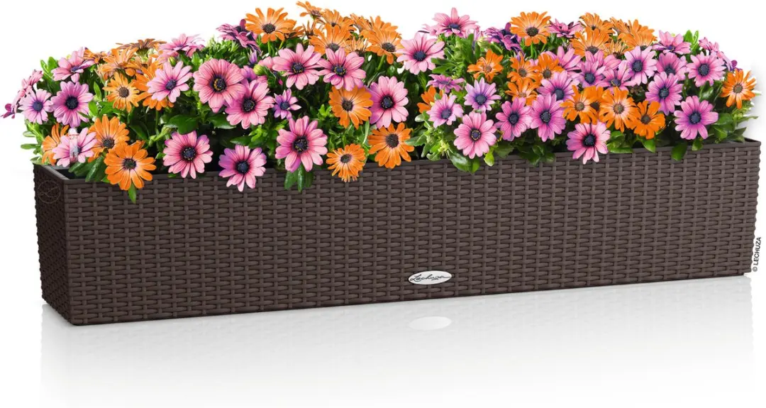 Lechuza BALCONERA Cottage 100 Plantenbak - Mokka - afbeelding 6 van 6
