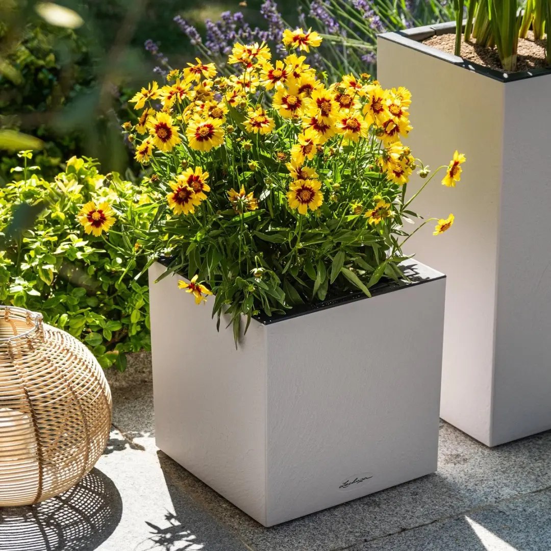 Lechuza CANTO Slatestone 30 high Plantenbak - 11L - afbeelding 2 van 6