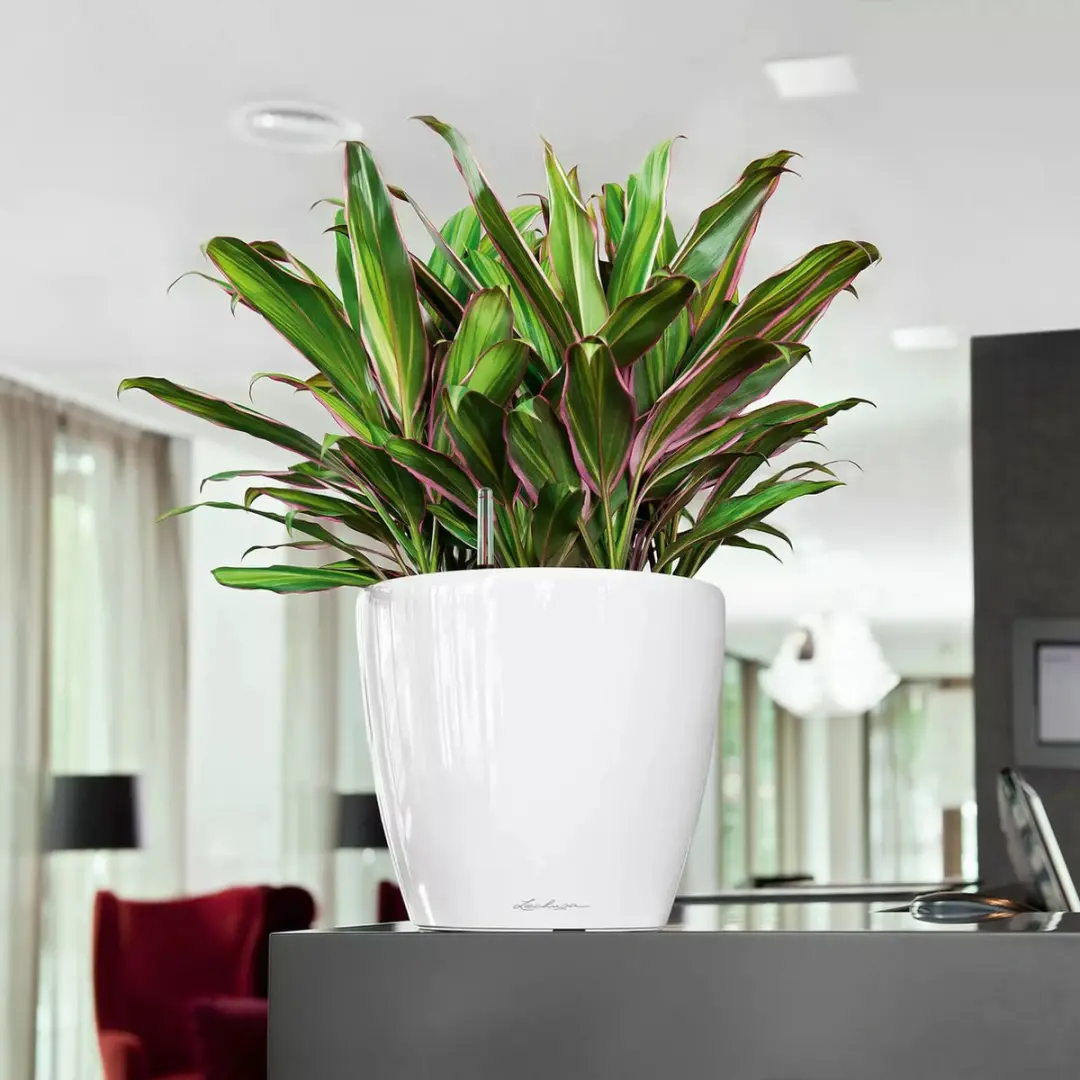 Lechuza Classico Premium LS 28 Plantenbak - Antraciet - afbeelding 6 van 6
