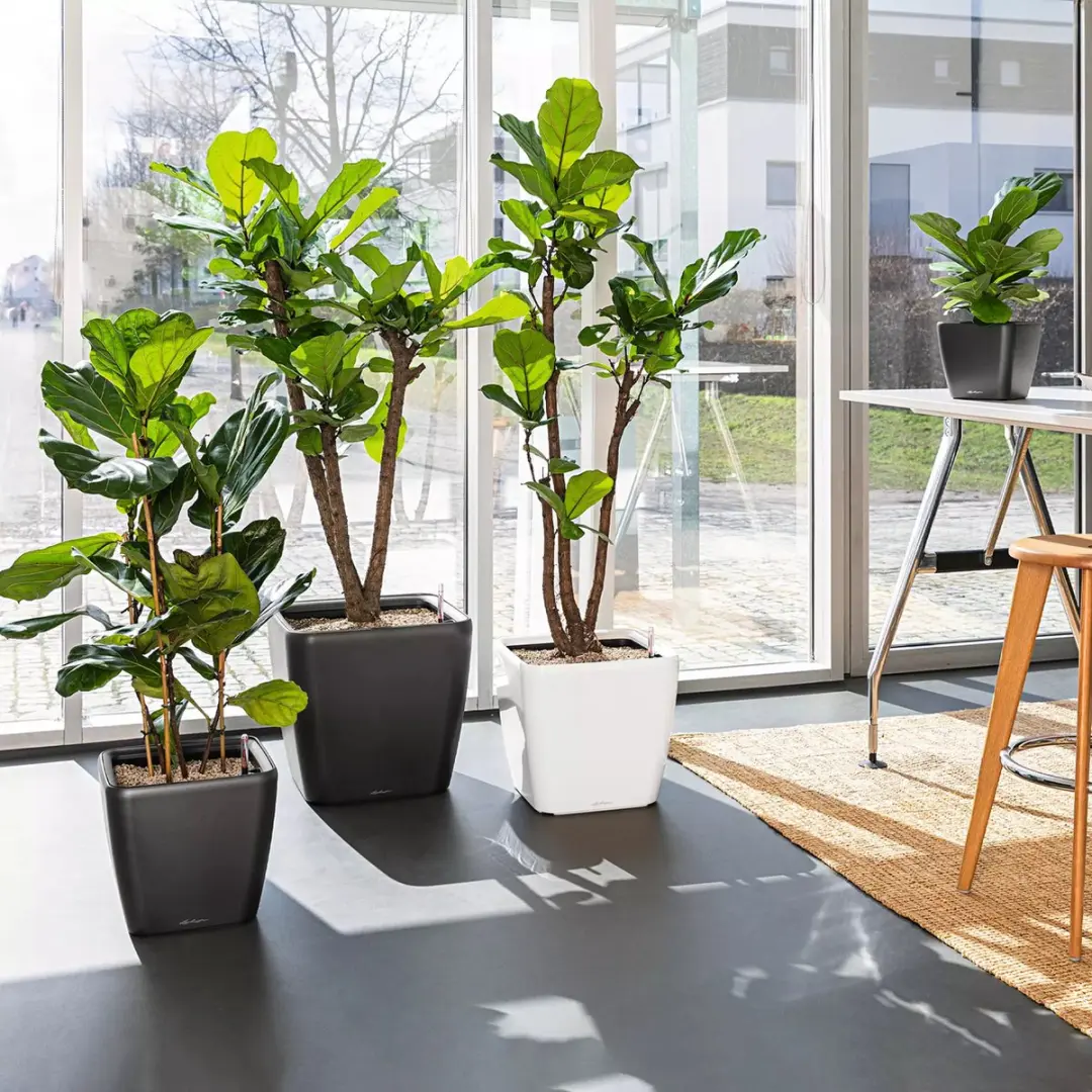 Lechuza Quadro Premium LS 28 Plantenbak - 9 l - Wit Hoogglans - afbeelding 6 van 6