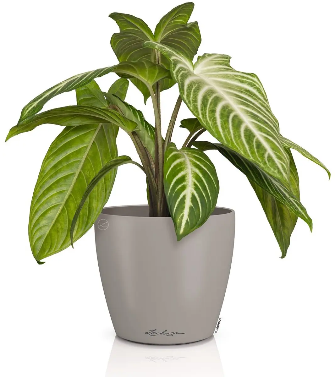 Lechuza CLASSICO Color DECO 14 Overpot - Zandbruin - Ø15cm - afbeelding 2 van 2