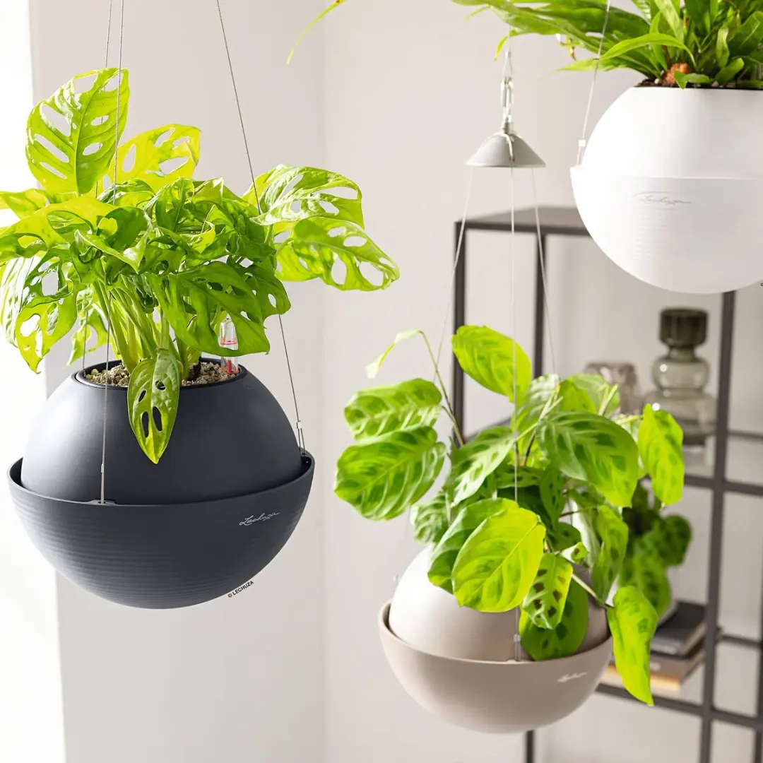 Lechuza Bola Color 23 Plantenbak - 23cm - Zandbruin - afbeelding 2 van 6