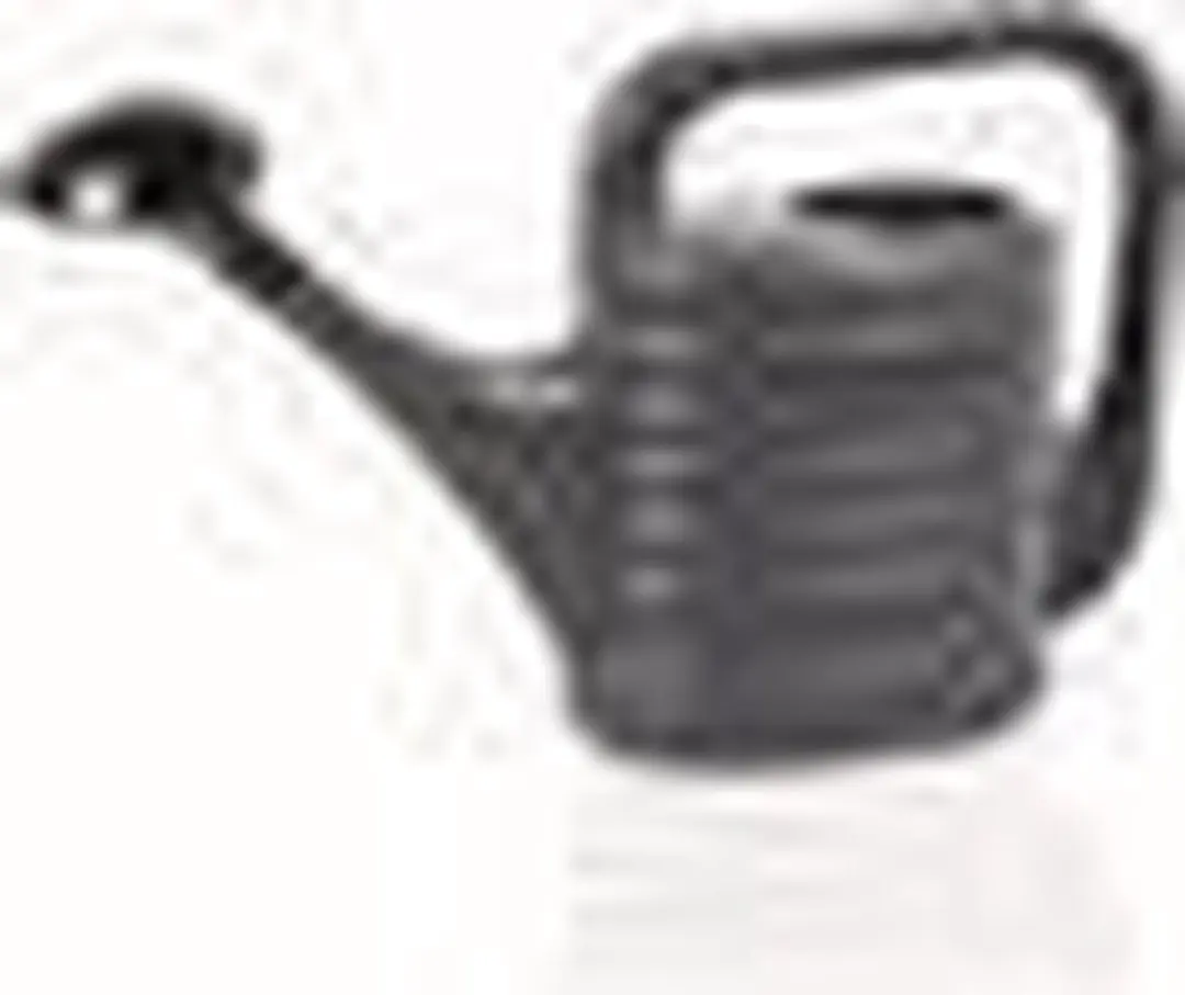 Prosperplast ZEBRA Gieter 5L - Antraciet - afbeelding 4 van 5