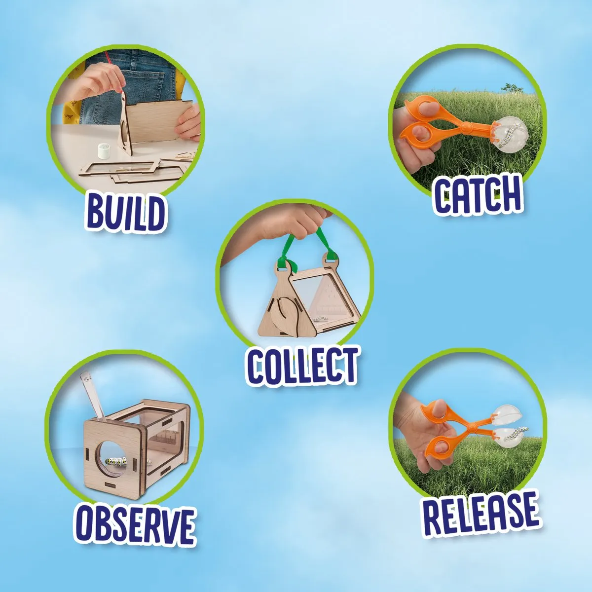 SES Creative Explore Insectenobservatiebox - Hout