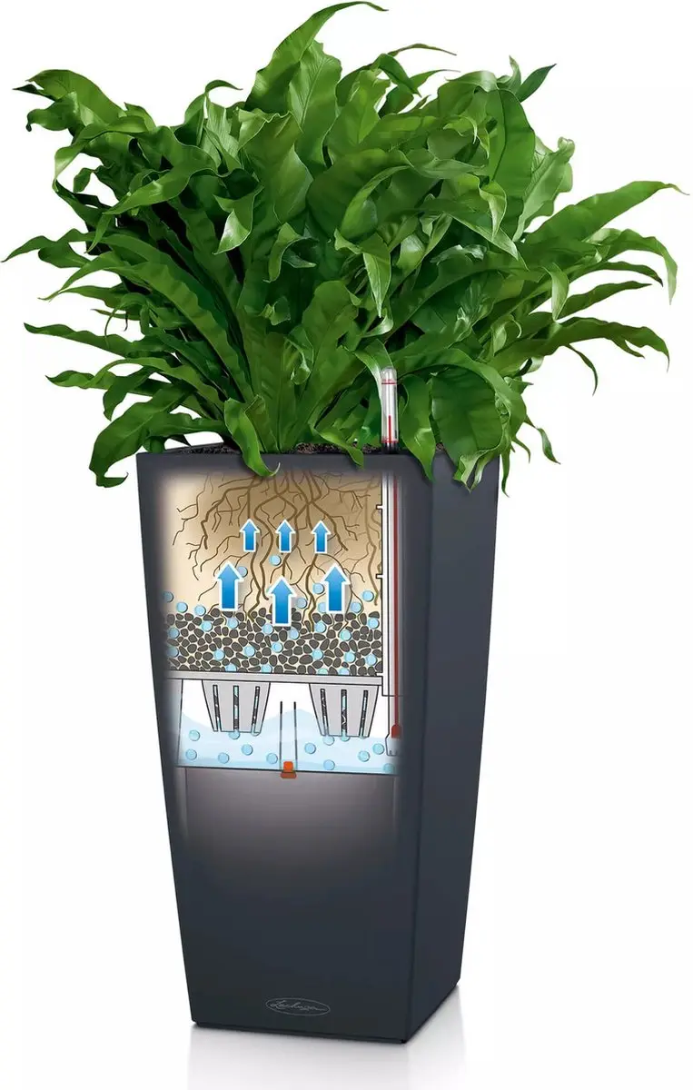 Lechuza Cubico Color 30 Plantenbak - Muskaat - afbeelding 5 van 6