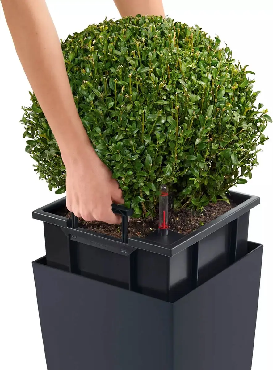 Lechuza Cubico Color 30 Plantenbak - 14l - Zandbruin - afbeelding 3 van 6