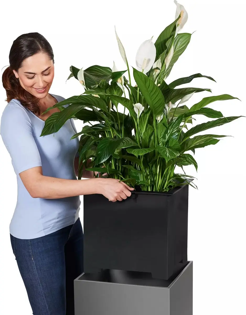 Lechuza Canto Premium 40 High Plantenbak - Antraciet Metallic - afbeelding 6 van 6