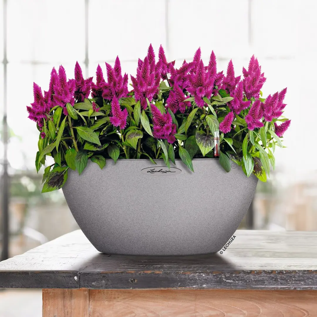 Lechuza Cubeto 40 Plantenbak - 11,5 l - Steengrijs - afbeelding 2 van 6
