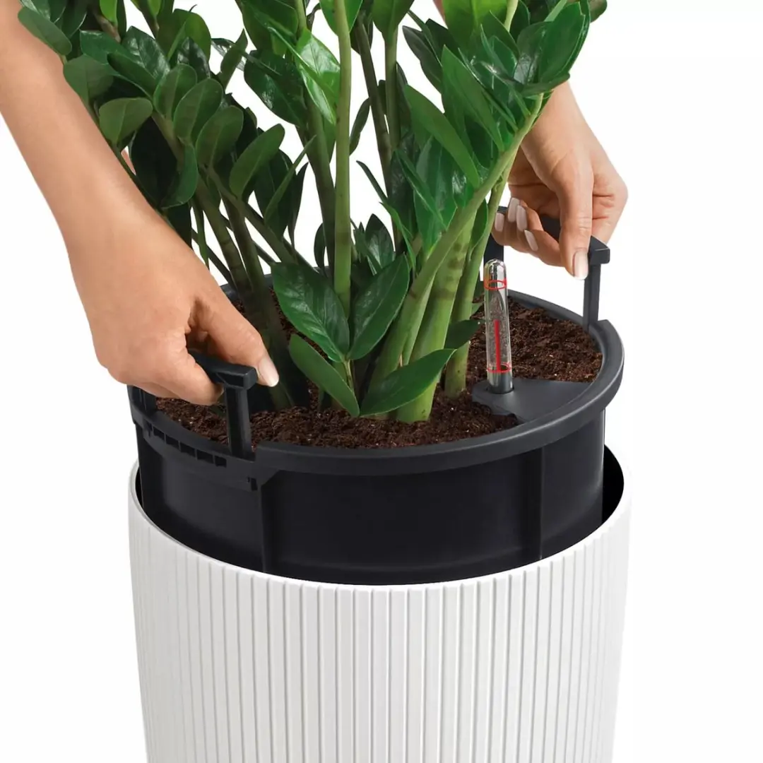 Lechuza Cilindro Color 23 Plantenbak - 5.5L - Wit - afbeelding 5 van 6