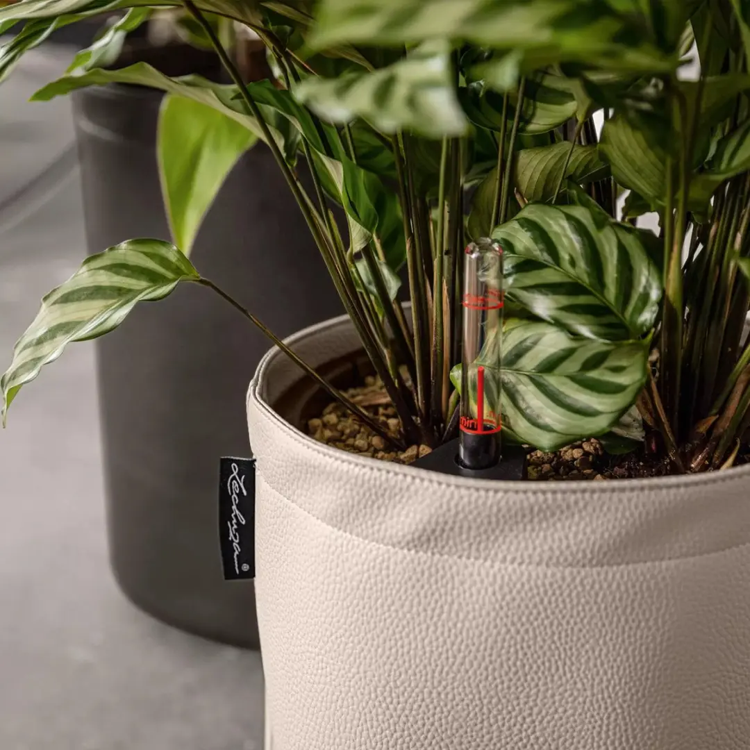 Lechuza Trendcover 32 Plantenbak - Antraciet - afbeelding 3 van 6