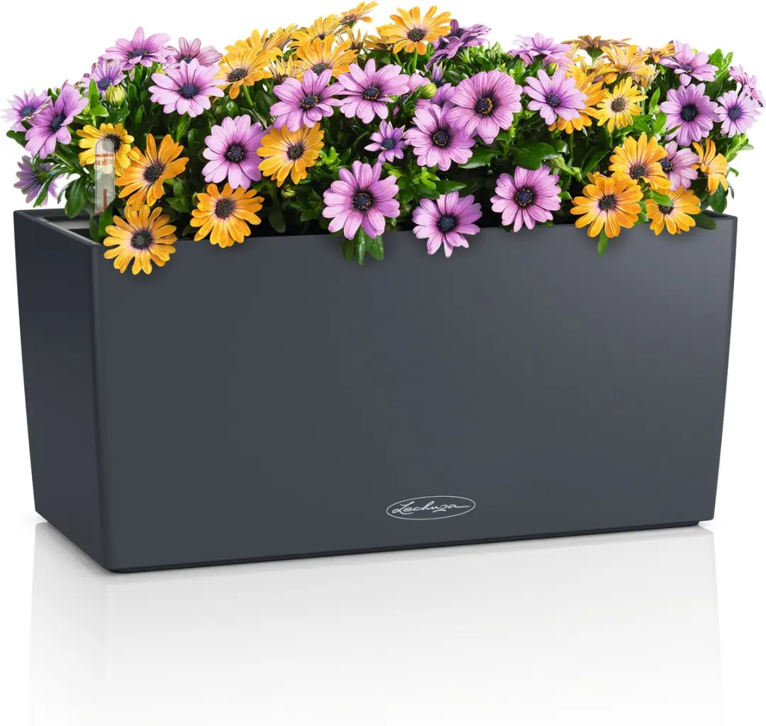 Lechuza BALCONERA Color 40 Plantenbak - 6 l - Leisteengrijs - afbeelding 4 van 5