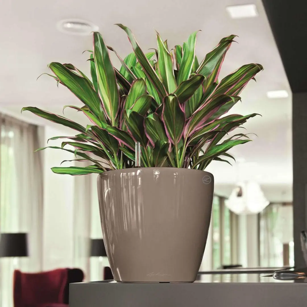 Lechuza Classico Premium LS 28 Plantenbak - 7 l - Taupe Hoogglans - afbeelding 6 van 6