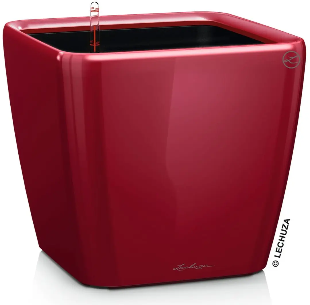 Lechuza Quadro LS 21 Plantenbak