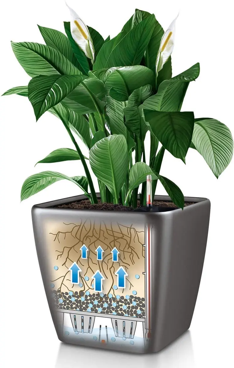Lechuza Quadro LS 50 Plantenbak - 53L - Zwart Hoogglans - afbeelding 6 van 6