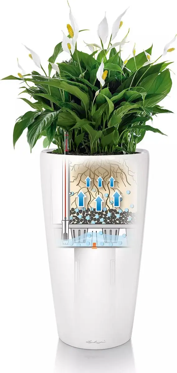Lechuza Rondo Premium 32 Plantenbak - 13 l - Taupe - afbeelding 5 van 6