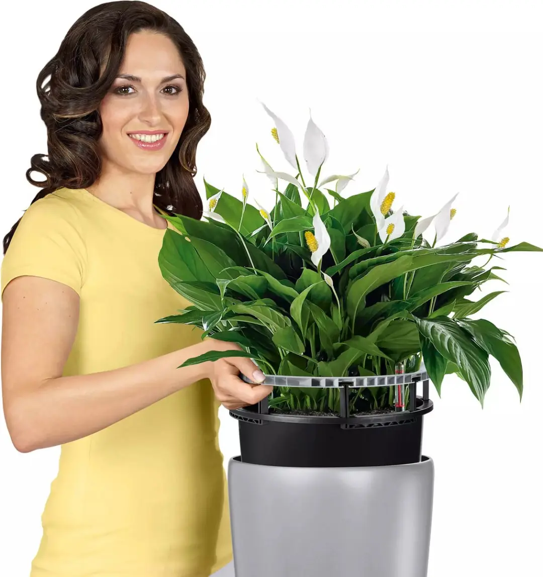 Lechuza Rondo Premium 32 Plantenbak - 13 l - Taupe - afbeelding 6 van 6
