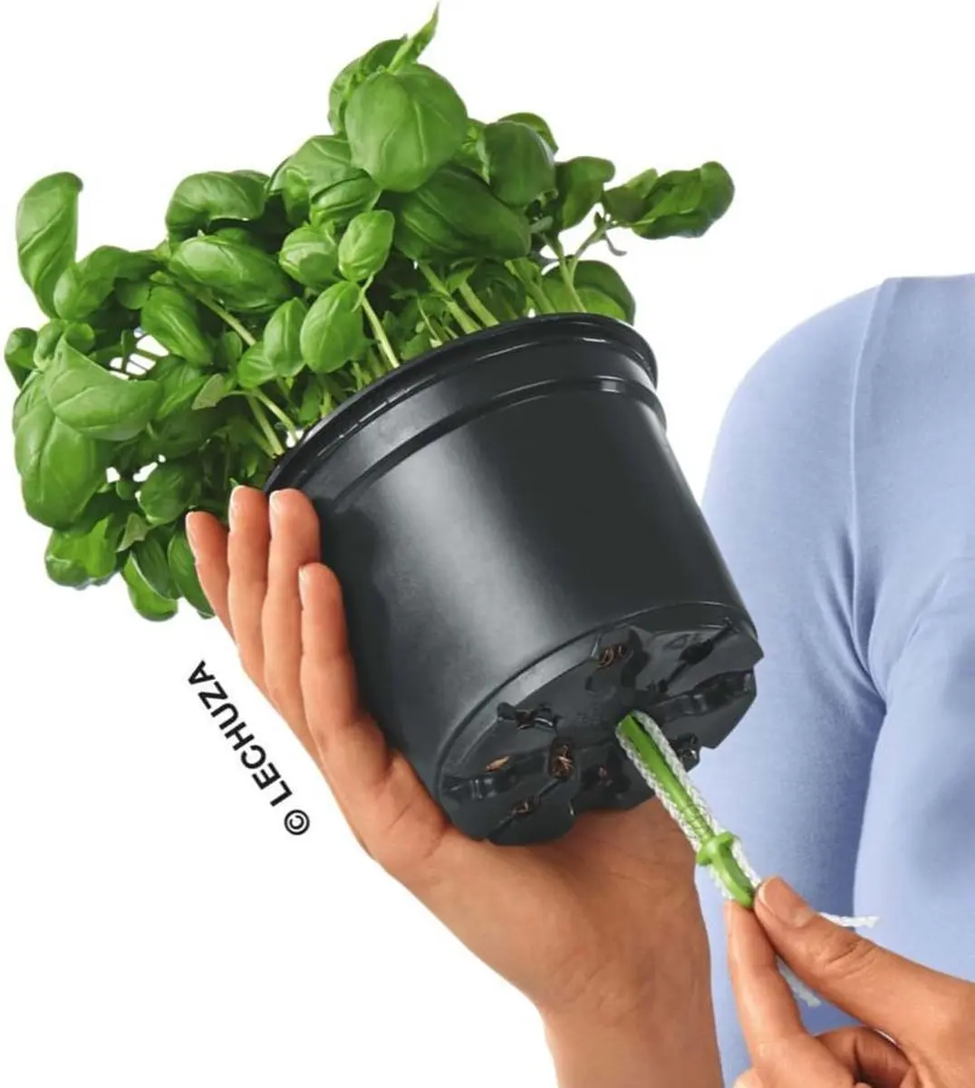 Lechuza Playmobil OJO Plantenbak - 0,25l - Oceaanblauw - afbeelding 3 van 6
