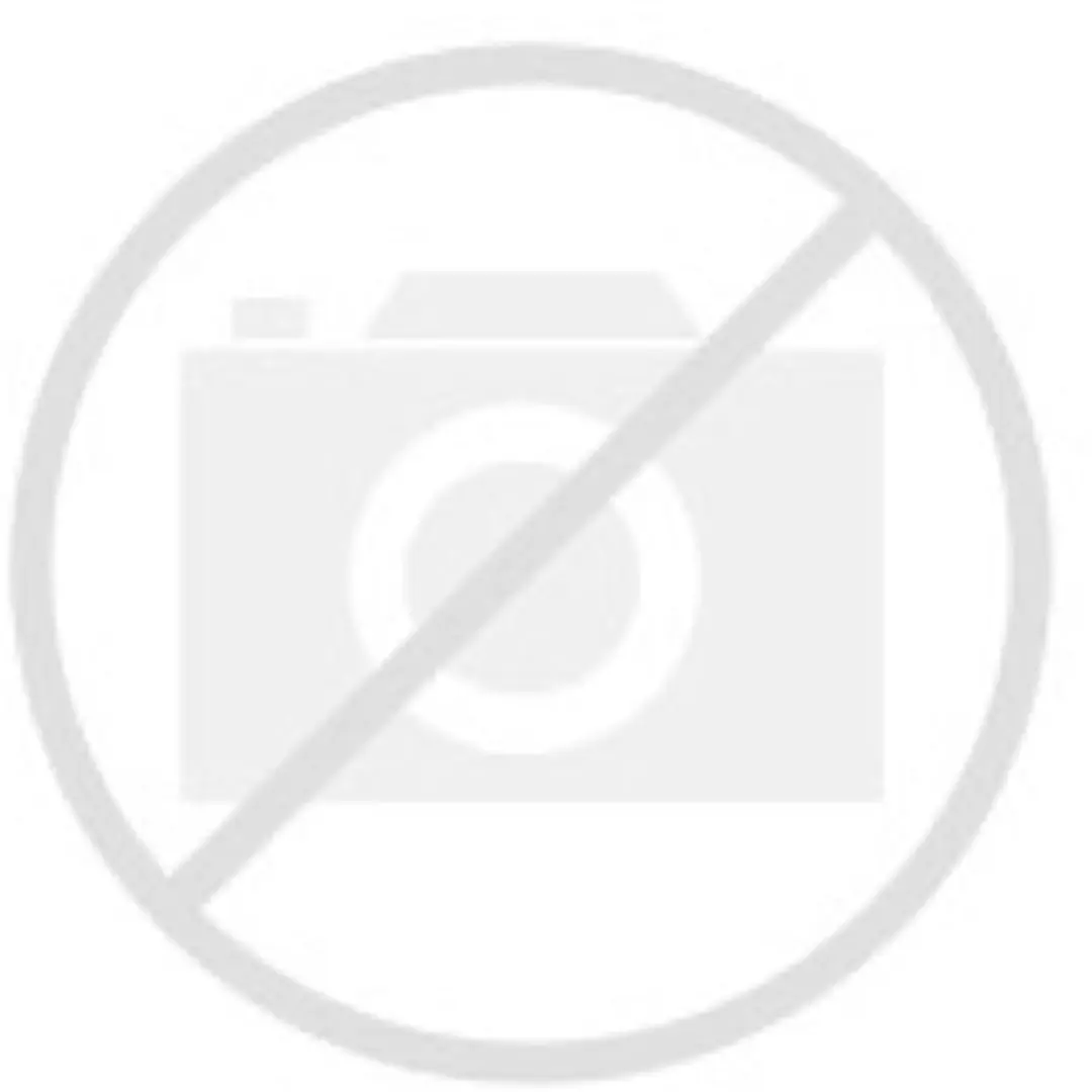 Hansgrohe Ecostat Comfort 95839000 Aanslagplaatje