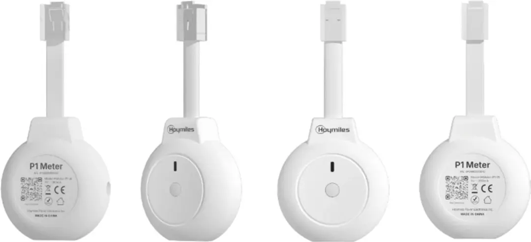 Hoymiles elektriciteitsmeter