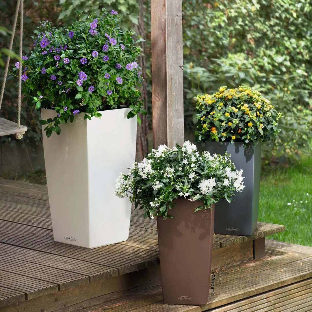 Lechuza Cubico Color 22 Plantenbak - 6L - Muskaat - afbeelding 2 van 6