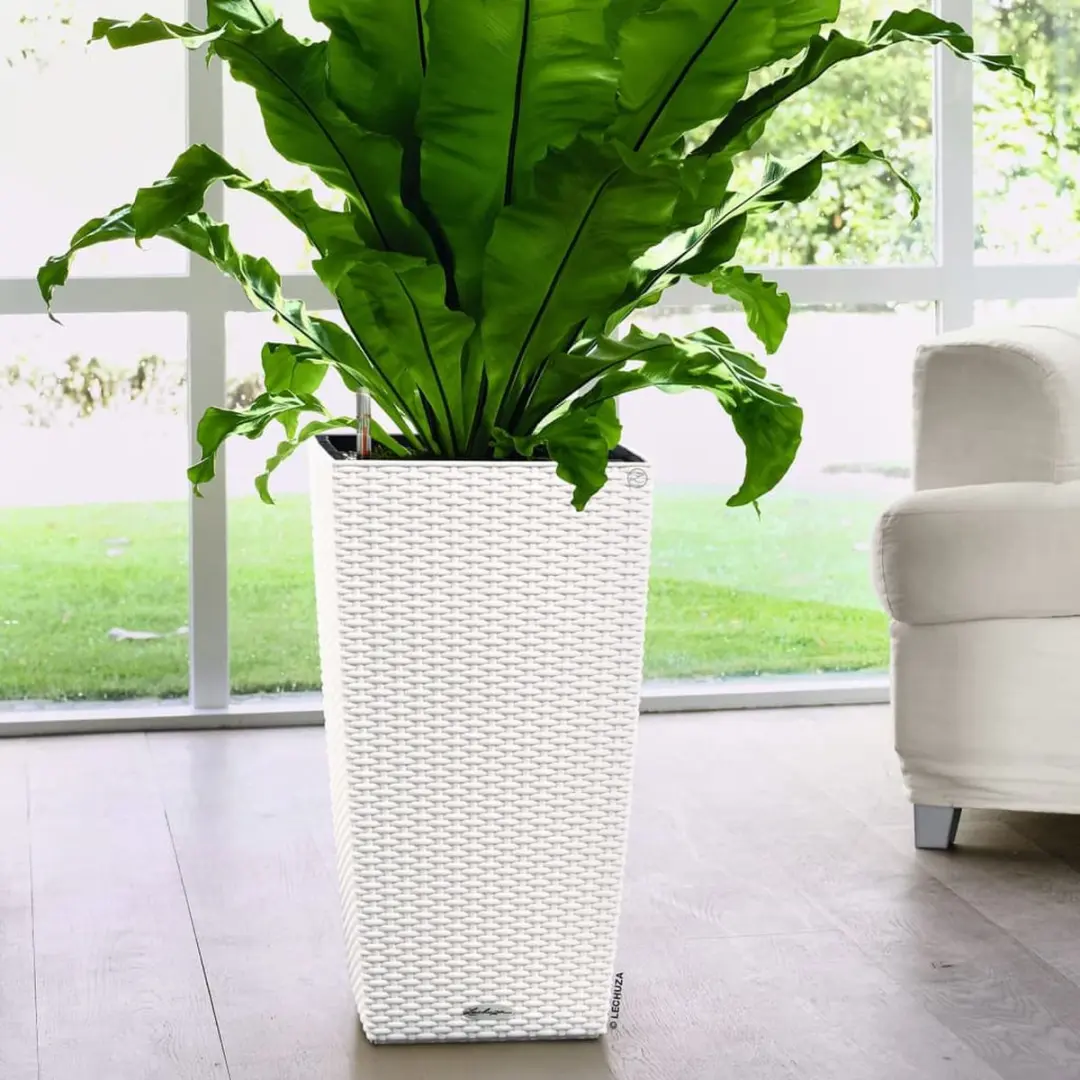 Lechuza Cubico Cottage Plantenbak - 14 l - Wit - afbeelding 6 van 6
