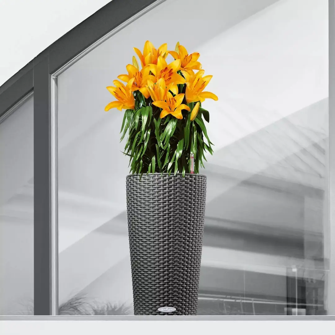 Lechuza CILINDRO Cottage 23 Plantenbak - Wit - afbeelding 6 van 6