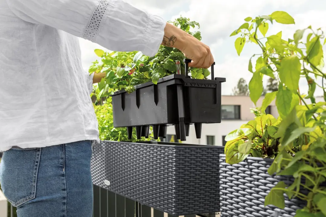 Lechuza Balconera Cottage 50 Plantenbak - 8 l - Lichtgrijs - afbeelding 5 van 6