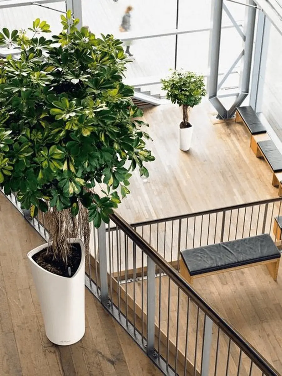 Lechuza Delta Premium 40 Plantenbak 17L - Wit Hoogglans - afbeelding 4 van 4