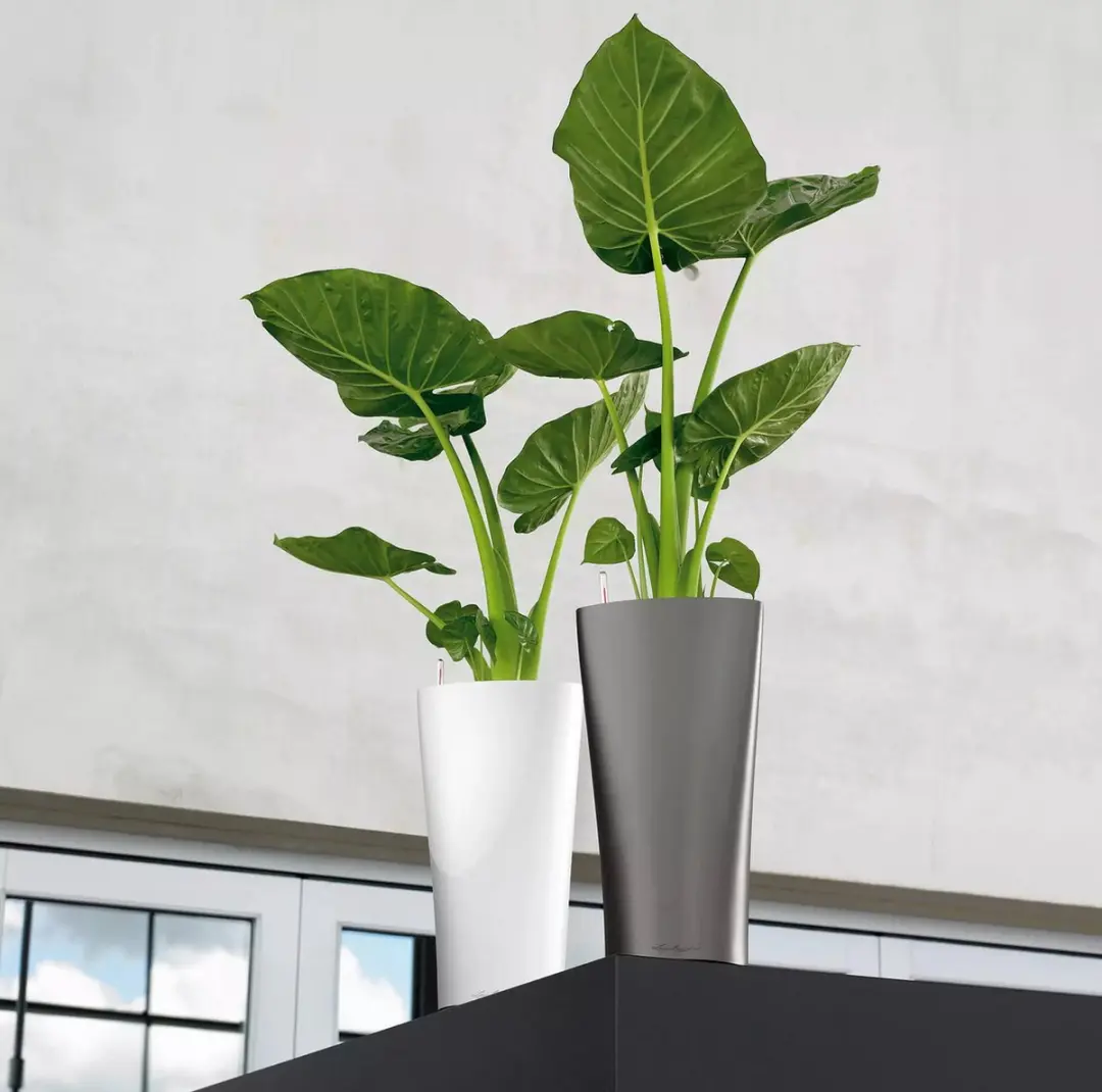 Lechuza Delta Premium 40 Plantenbak - 17L - Scharlakenrood - afbeelding 6 van 6