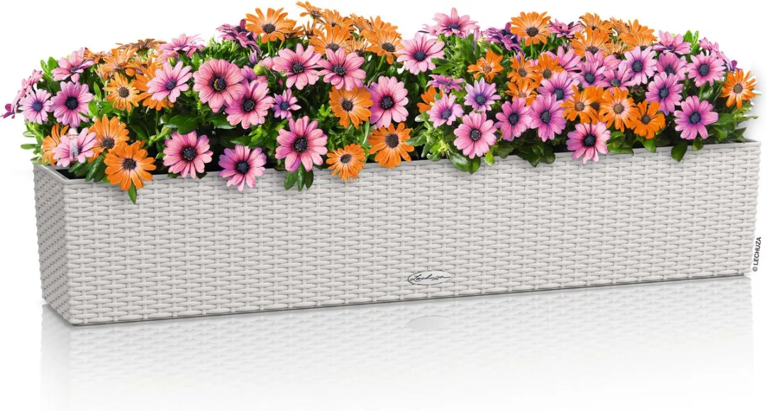 Lechuza Balconera Cottage 100 Plantenbak - Lichtgrijs - afbeelding 5 van 6
